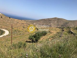 Αγροτεμάχια 5.919 τ.μ. για πώληση