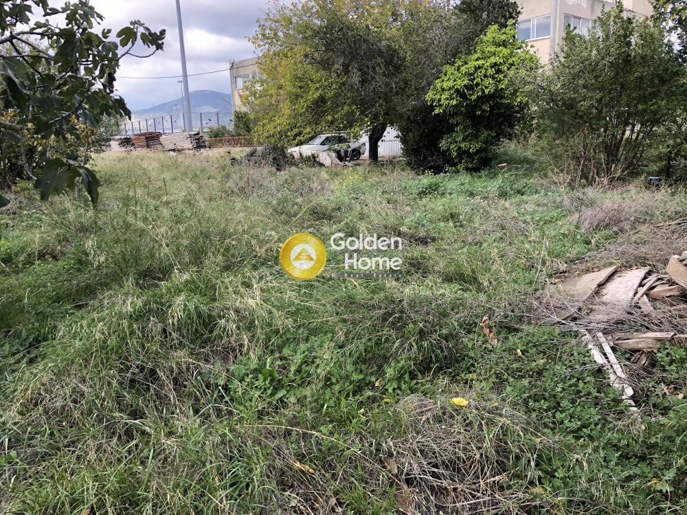 Οικόπεδο 386 τ.μ. προς πώληση, Βλάχου