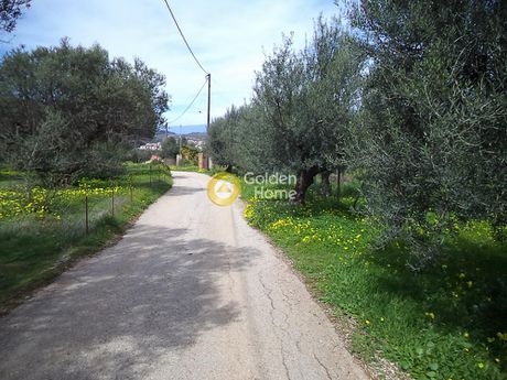 Αγροτεμάχια 1.770 τ.μ. για πώληση