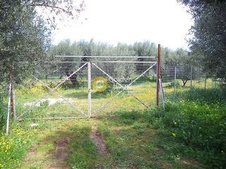 Αγροτεμάχια 1.770 τ.μ. για πώληση, Ν. Καρδίτσας, Σοφάδες-thumb-3