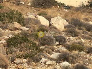 Οικόπεδο 606 τ.μ. για πώληση, Αττική - Υπόλοιπο, Σαρωνίδα-thumb-6