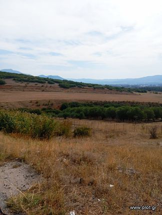 Αγροτεμάχια 23.720 τ.μ. για πώληση, Θεσσαλονίκη - Περιφ/Κοί Δήμοι, Θέρμη