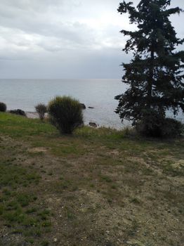 Parcel 11.100sqm for sale-Stagiron - Akanthou » Ammouliani