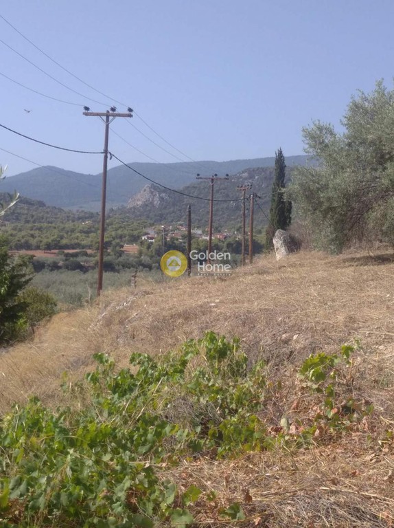Οικόπεδο 570 τ.μ. προς πώληση, Κορινθία, Σαρωνικός