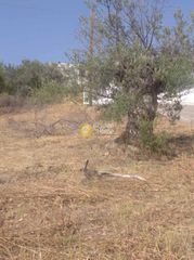 Οικόπεδο 570 τ.μ. για πώληση