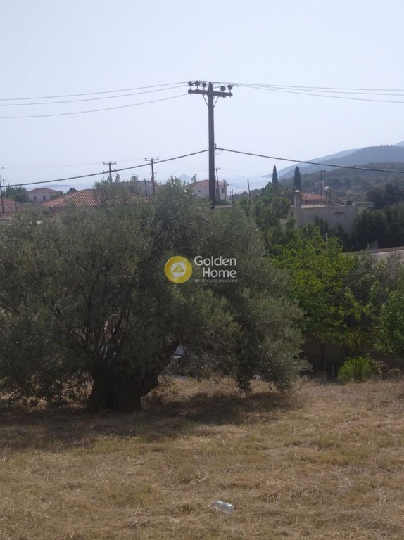 Οικόπεδο 570 τ.μ. προς πώληση, Κορινθία, Σαρωνικός