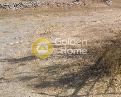 Parcel 12.000sqm for sale-Paros » Kamares
