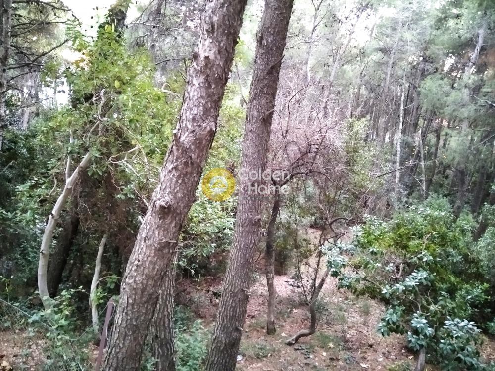 Οικόπεδο 1.031 τ.μ. προς πώληση, Αθήνα - Δυτικά Προάστια, Αχαρνές