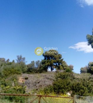 Αγροτεμάχια 4.099 τ.μ. για πώληση