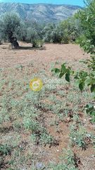 Οικόπεδο 1.037 τ.μ. για πώληση