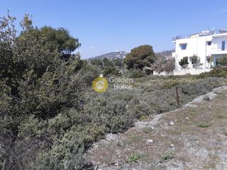 Οικόπεδο 400 τ.μ. για πώληση, Αθήνα - Ανατολικά Προάστια, Ανθούσα-thumb-3
