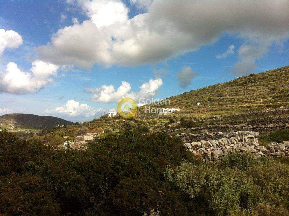 Αγροτεμάχια 12.000 τ.μ. προς πώληση, Χωριουδάκι