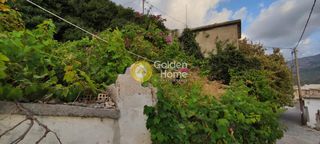 Οικόπεδο 252 τ.μ. για πώληση, Ν. Λασιθίου, Βραχάσι-thumb-9