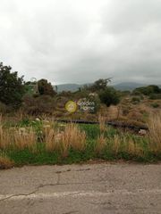 Οικόπεδο 10.000 τ.μ. για πώληση, Ν. Λασιθίου, Βραχάσι-thumb-4