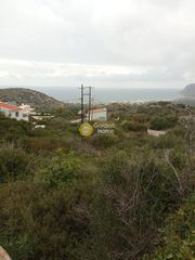 Οικόπεδο 10.000 τ.μ. για πώληση, Ν. Λασιθίου, Βραχάσι-thumb-2