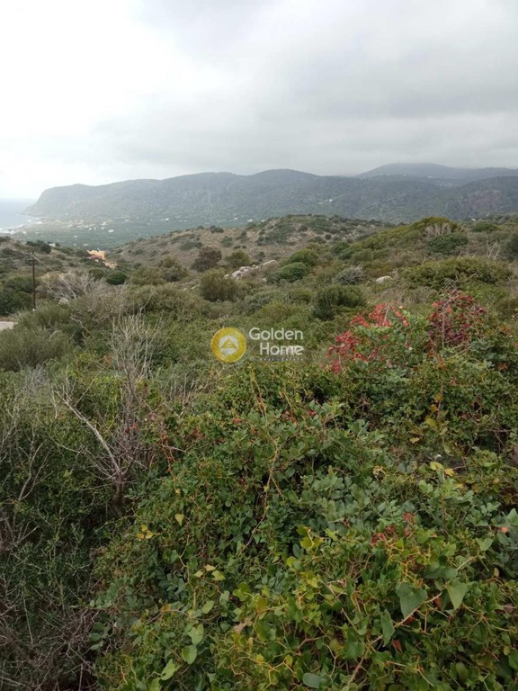 Οικόπεδο 10.000 τ.μ. προς πώληση, Ν. Λασιθίου, Βραχάσι