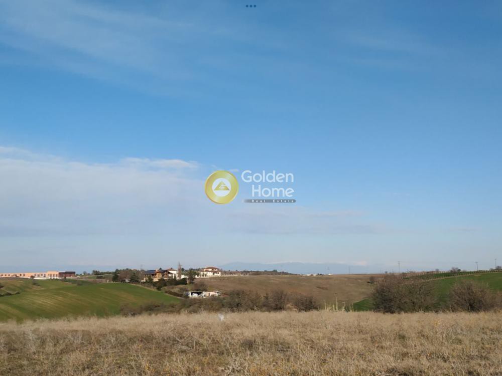 Αγροτεμάχια 8.950 τ.μ. προς ενοικίαση, Θεσσαλονίκη - Περιφ/Κοί Δήμοι, Επανομή