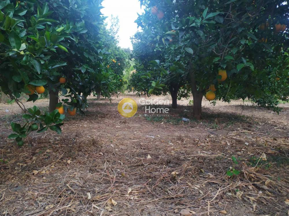 Οικόπεδο 3.650 τ.μ. προς πώληση, Ν. Χανίων, Μουσούροι