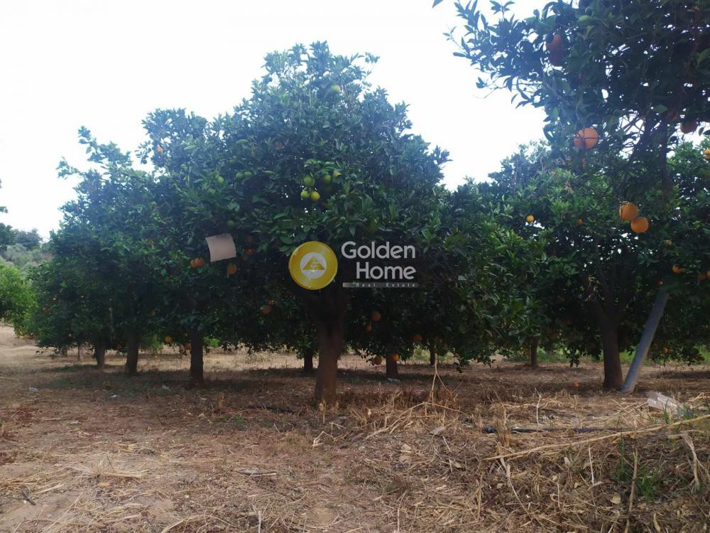 Οικόπεδο 3.650 τ.μ. προς πώληση, Ν. Χανίων, Μουσούροι