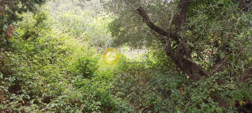 Αγροτεμάχια 1.190 τ.μ. προς πώληση, Βελιανιτάτικα