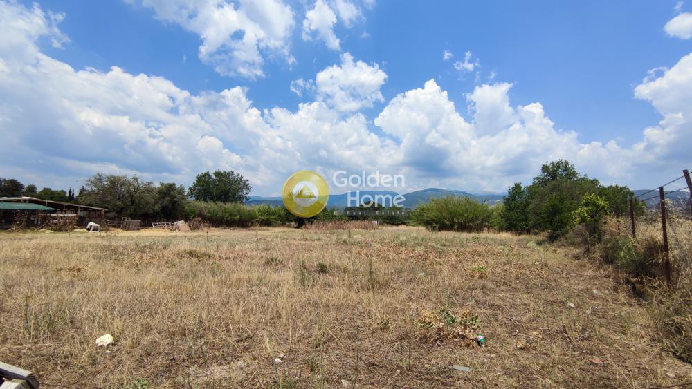 Οικόπεδο 16.800 τ.μ. προς πώληση, Φθιώτιδας, Εχιναίων