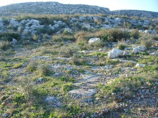 Οικόπεδο 806 τ.μ. για πώληση, Εύβοια, Ταμύνες-thumb-1