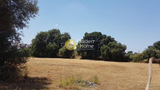 Οικόπεδο 2.000 τ.μ. για πώληση, Ν. Ηλείας, Αμαλιάδα-thumb-6
