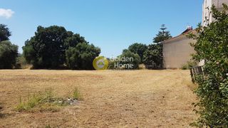 Οικόπεδο 2.000 τ.μ. για πώληση, Ν. Ηλείας, Αμαλιάδα-thumb-4
