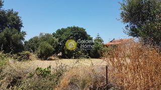 Οικόπεδο 2.000 τ.μ. για πώληση, Ν. Ηλείας, Αμαλιάδα-thumb-5