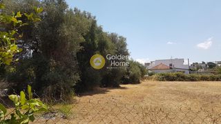 Οικόπεδο 2.000 τ.μ. για πώληση, Ν. Ηλείας, Αμαλιάδα-thumb-8