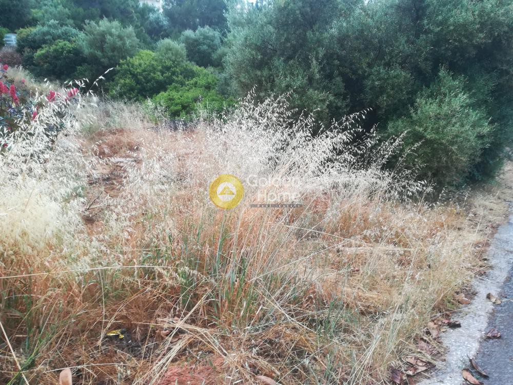 Οικόπεδο 780 τ.μ. προς πώληση, Κέντρο Αναβύσσου