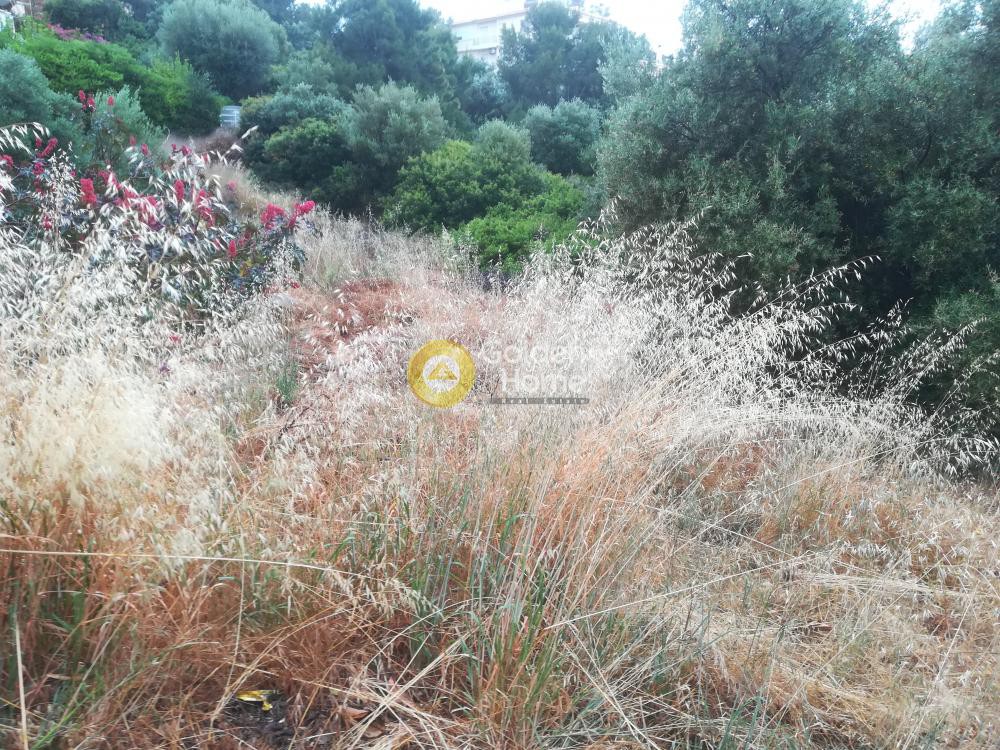 Οικόπεδο 780 τ.μ. προς πώληση, Κέντρο Αναβύσσου