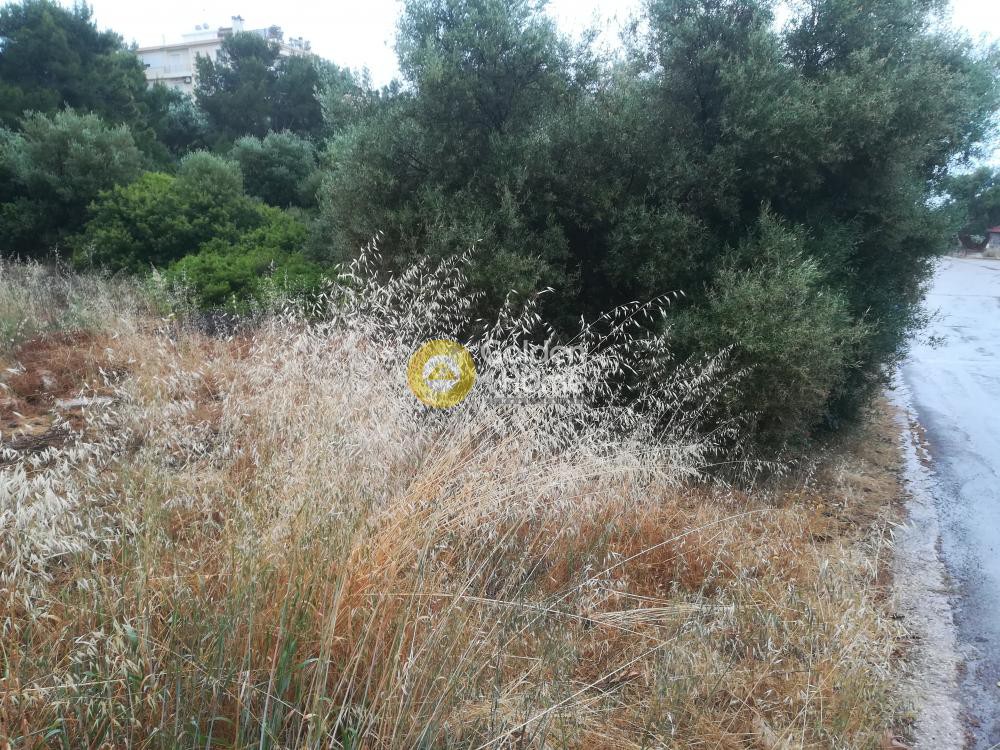 Οικόπεδο 780 τ.μ. προς πώληση, Κέντρο Αναβύσσου