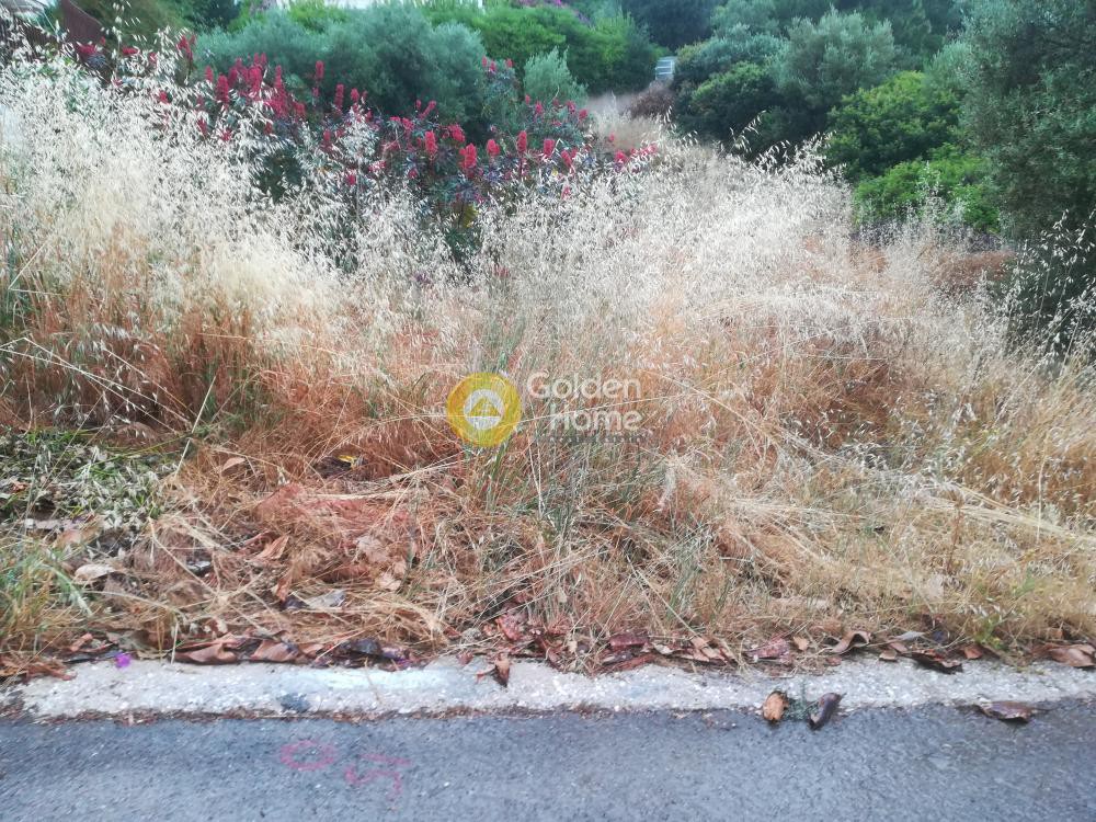 Οικόπεδο 780 τ.μ. προς πώληση, Κέντρο Αναβύσσου