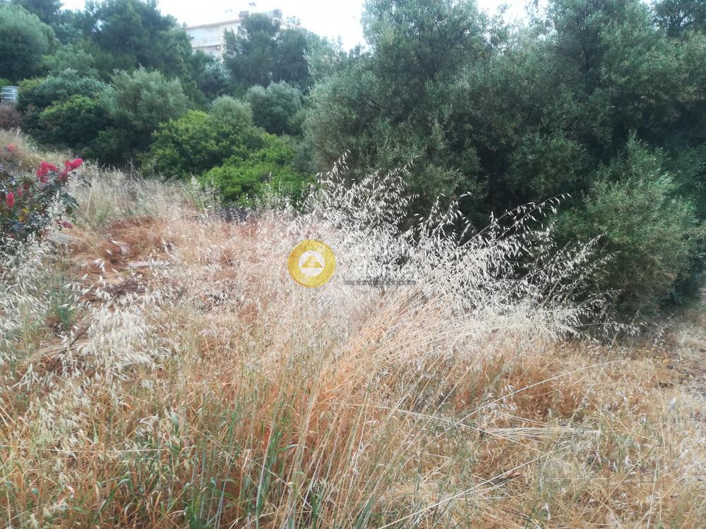 Οικόπεδο 780 τ.μ. προς πώληση, Κέντρο Αναβύσσου