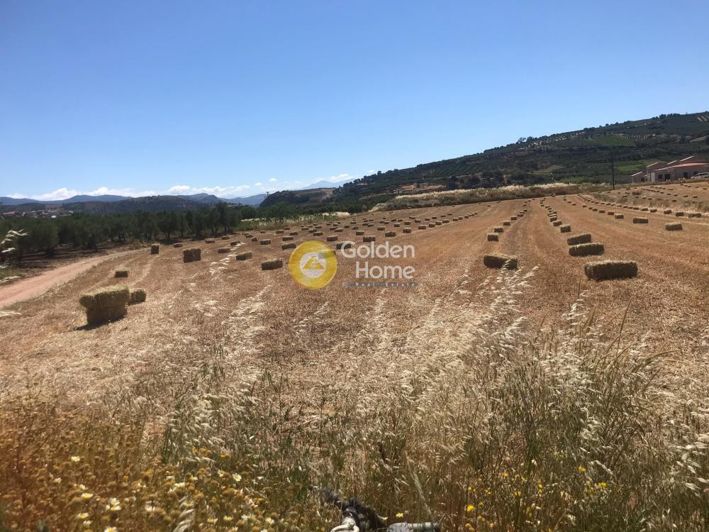 Οικόπεδο 3.662 τ.μ. προς πώληση, Ν. Ηρακλείου, Τετραχώρι