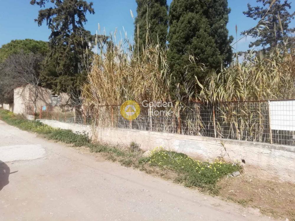 Οικόπεδο 3.400 τ.μ. προς πώληση, Αθήνα - Ανατολικά Προάστια, Κορωπί