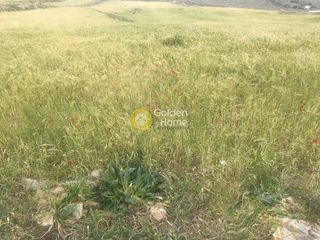 Οικόπεδο 7.000 τ.μ. για πώληση, Κυκλάδες, Μύκονος-thumb-5