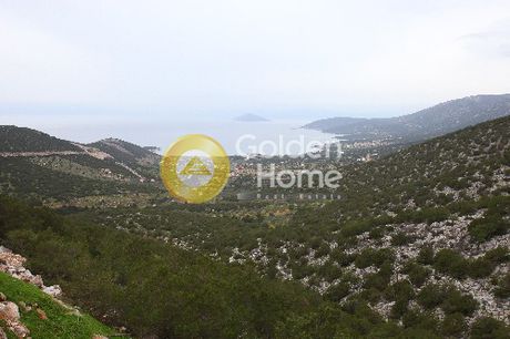 Οικόπεδο 1.150 τ.μ. για πώληση