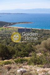 Οικόπεδο 1.150 τ.μ. για πώληση, Αργολίδα, Κρανίδι-thumb-8