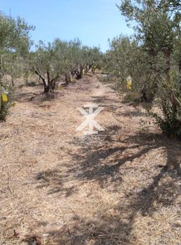 Parcel 600sqm for sale-Kallikrateia » Nea Silata