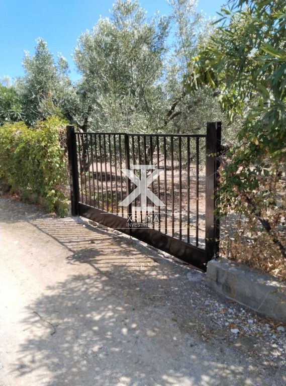 Αγροτεμάχια 500 τ.μ. πρός πώληση, Χαλκιδική, Καλλικράτεια