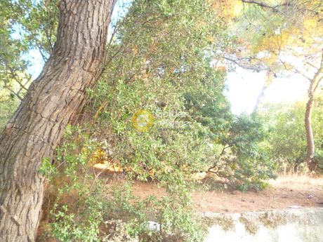 Land plot 1.025sqm for sale-Vrilissia » Patima Vrilission