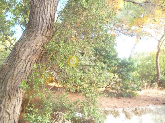 Οικόπεδο 1.025 τ.μ. για πώληση, Αθήνα - Βόρεια Προάστια, Βριλήσσια