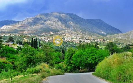 Land plot 3.210sqm for sale-Rouvas » Kardamiana