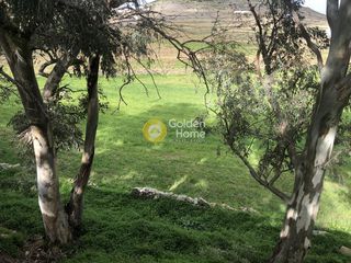 Οικόπεδο 10.370 τ.μ. για πώληση, Κυκλάδες, Πάρος-thumb-10