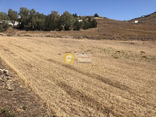 Οικόπεδο 10.370 τ.μ. για πώληση, Κυκλάδες, Πάρος-thumb-5