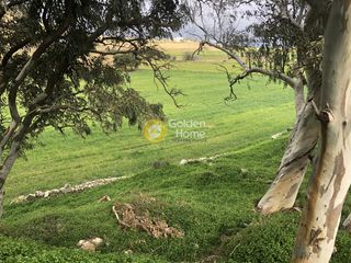 Οικόπεδο 10.370 τ.μ. για πώληση, Κυκλάδες, Πάρος-thumb-1