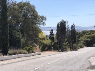 Οικόπεδο 10.370 τ.μ. για πώληση, Κυκλάδες, Πάρος-thumb-3