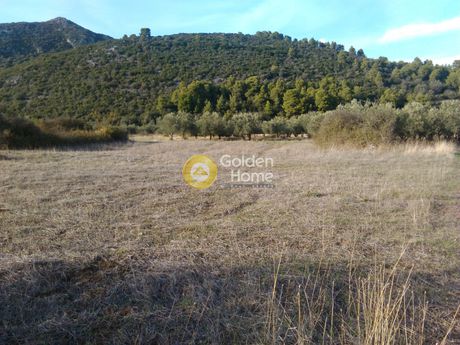 Parcel 4.000sqm for sale-Lichada » Agios Georgios
